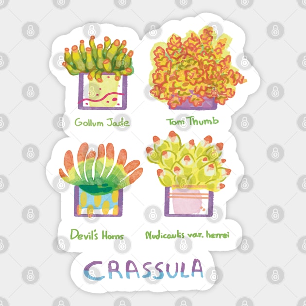 Four Crassula succulents Sticker by KO-of-the-self